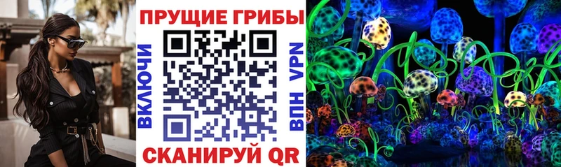 Псилоцибиновые грибы мицелий  мориарти как зайти  Усть-Катав  kraken вход 
